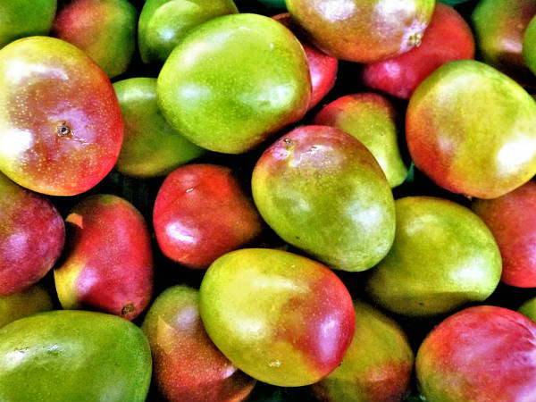 ৩. শরীরে অ্যাসিডের ভারসাম্য বজায় রাখে:
