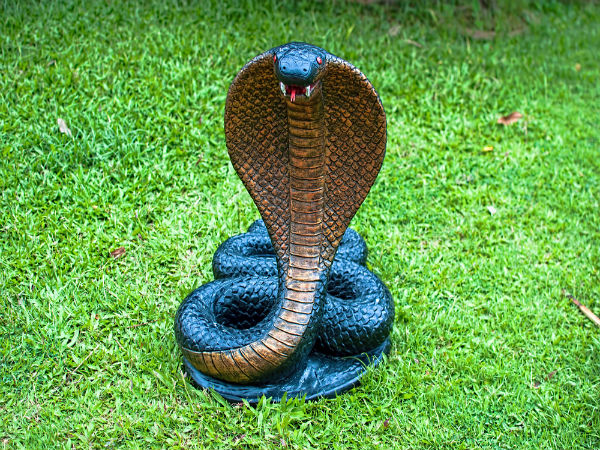 ৭. নাগ: