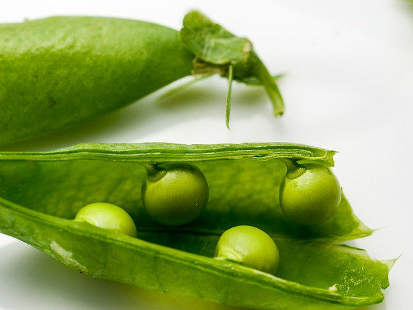 ৯. বিনস: