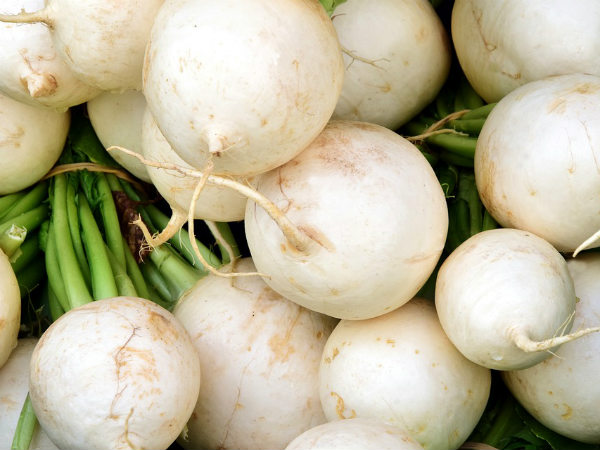 ৯.মুলো: