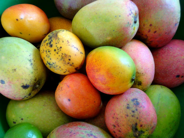 ১১. অ্যানিমিয়ার প্রকোপ কমায়: