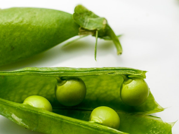 ৪. বিনস: