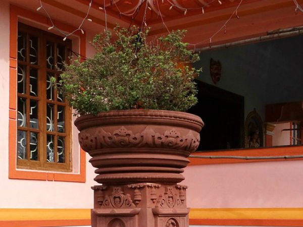 ৬. তুলসি মাটি: