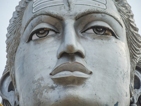 ৭. বকুল ফুল: