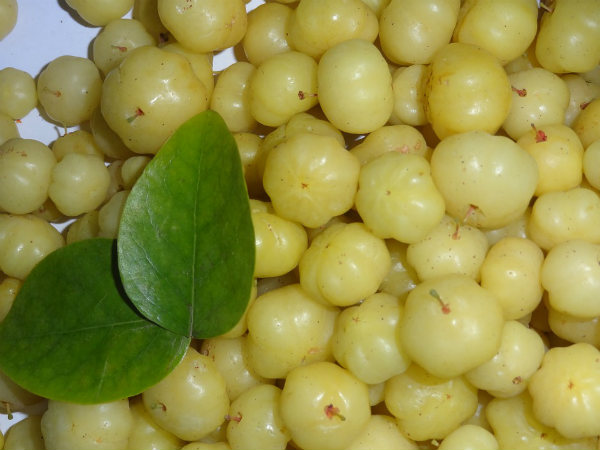 ৮. গলব্লাডার স্টোন হওয়ার সম্ভাবনা কমবে: