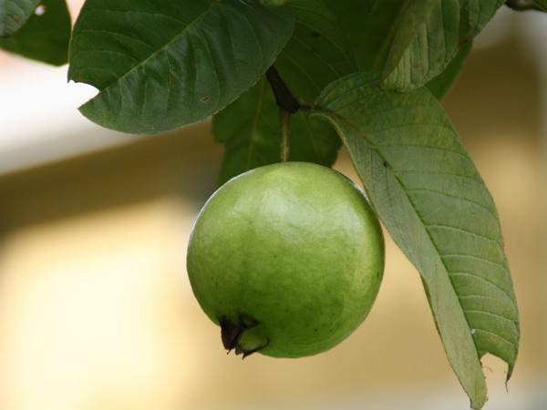 ১. সংক্রমণের আশঙ্কা কমে: