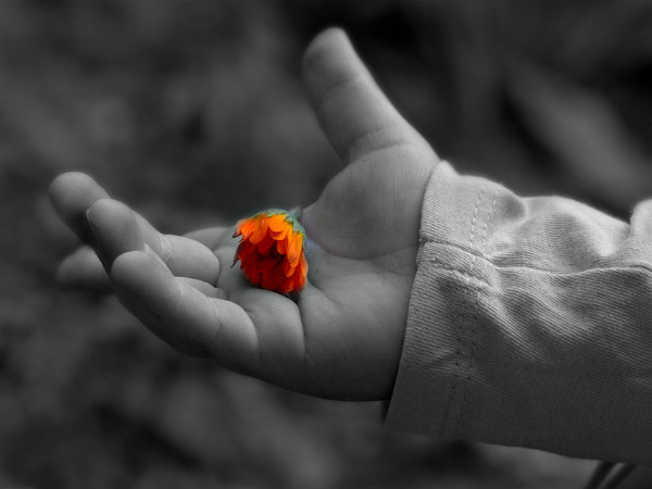 ২. হার্ট এবং হাতের রেখা: