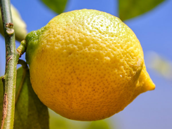 ৫. মনের মতো চাকরি মিলবে: