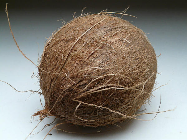 ৬. পরিবারে সুখ এবং সমৃদ্ধির ছোঁয়া লাগবে: