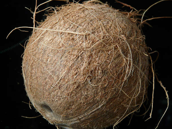 ৮. শনির প্রকোপ কমবে: