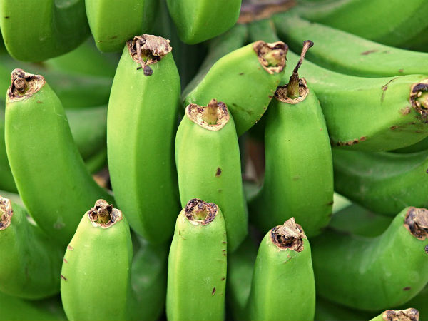 ৯. পুষ্টির ঘাটতি দূর হয়: