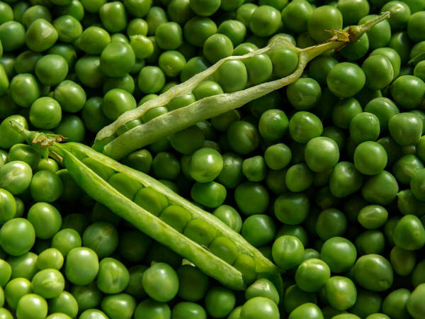 ৫. দৃষ্টিশক্তির উন্নতি ঘটে:
