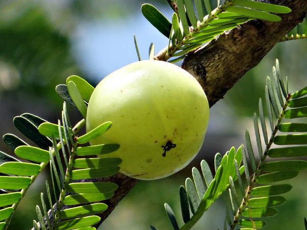 ১. খারাপ শক্তির প্রকোপ কমে যায়: