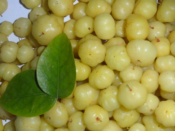১০.ত্বকের সৌন্দর্য বৃদ্ধি পায়: