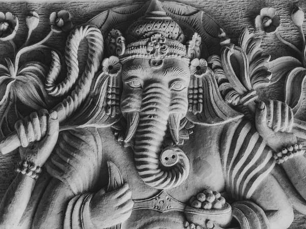 ৬. গুড লাক রোজের সঙ্গী হয়ে ওঠে: