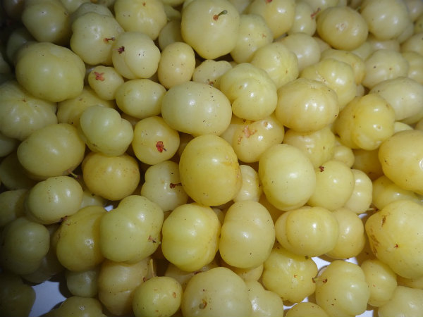৬.মনের যে কোনও ইচ্ছা পূরণ হবে: