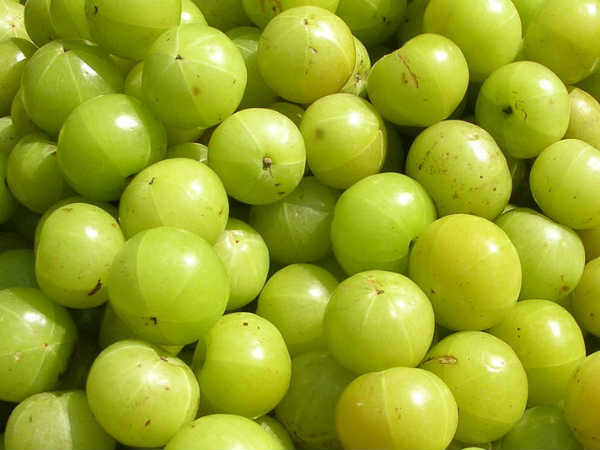১১. নানাবিধ পেটের রোগের প্রকোপ কমে যায়: