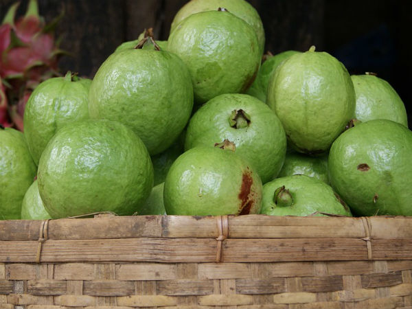১২. অতি বেগুনি রশ্মির প্রভাবে ক্ষতি হয় কম: