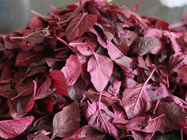 ৪. অ্যানিমিয়ার মতো রোগ দূরে পালায়:
