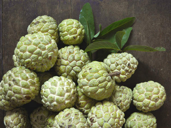 ৫. ভুলেও সিতাফল কাটা চলবে না: