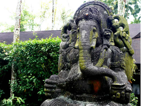 ৬. বড়লোক হয়ে ওঠার স্বপ্ন পূরণ হয়: