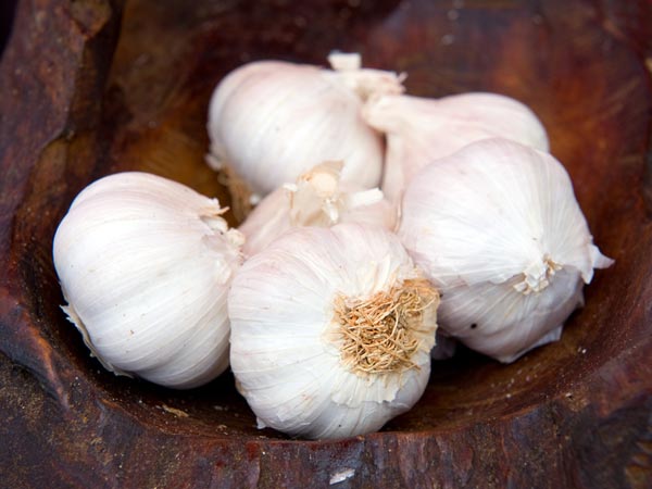 ৫। রসুন