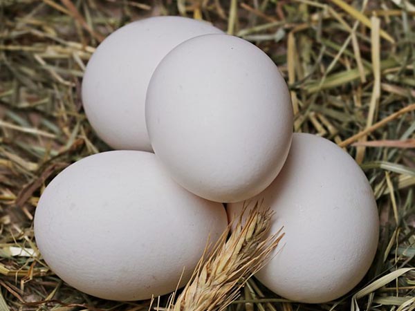 ২। ডিম