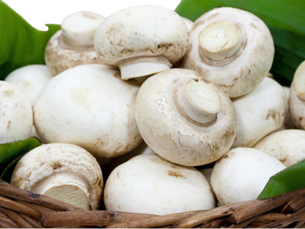 মাশরুম