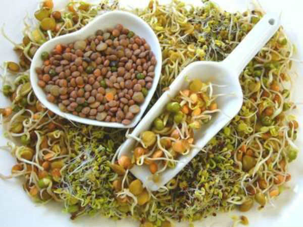 ১) ফোলেট