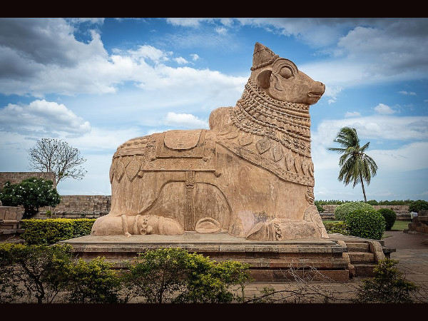 একটি ষাঁড় কীভাবে শাস্ত্র রচনা করতে পারে?