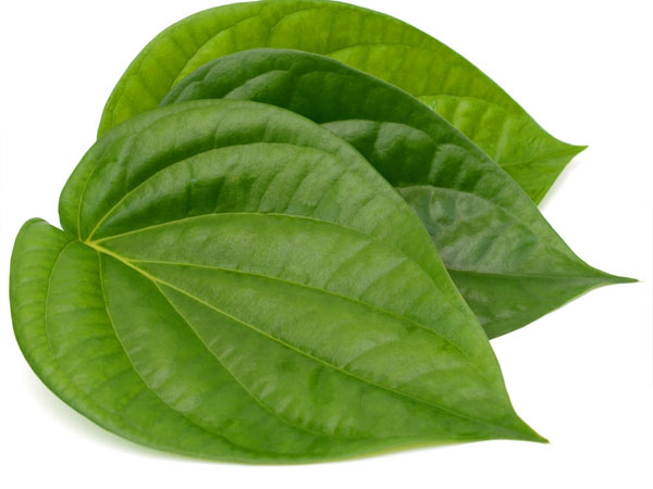 Betel Leaves Give You Pimple Free Face And Glowing Skin
