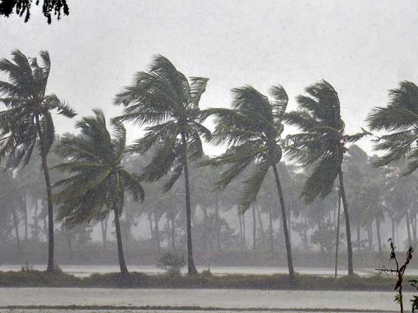 নামকরণ কেন প্রয়োজন?