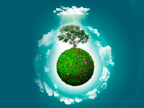 বিশ্ব পরিবেশ দিবস ২০২০ সালের থিম