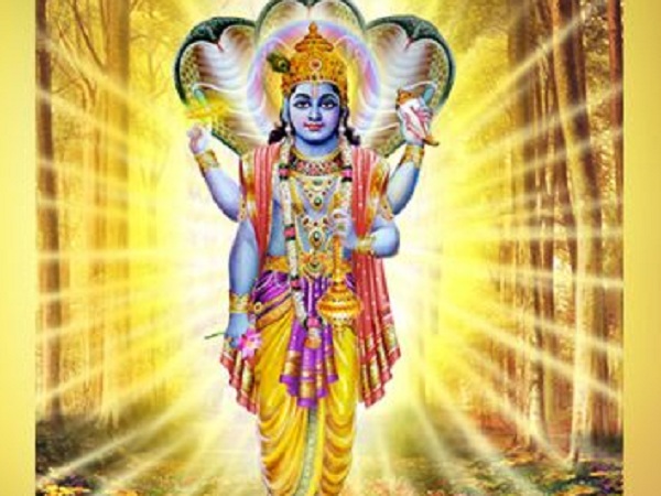 নির্জলা একাদশীর উপকারিতা