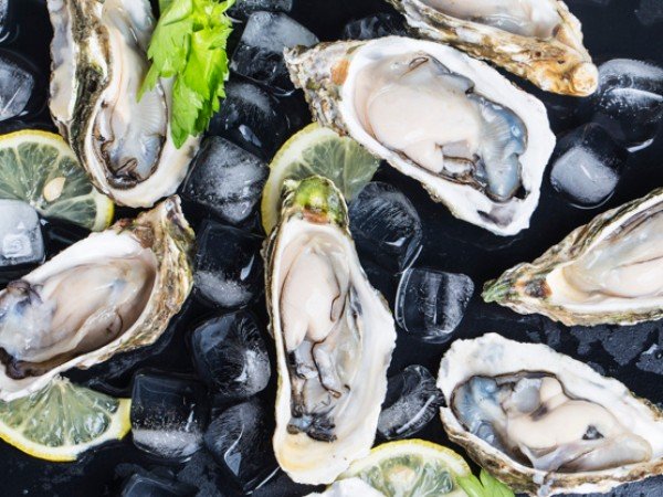 ৯) ঝিনুক (Oysters)
