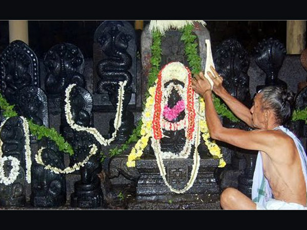 এই ব্যক্তিদের অবশ্যই নাগপঞ্চমীর ব্রত পালন করা উচিত