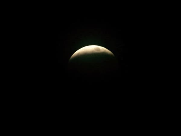 কোথায় কোথায় দেখা যাবে