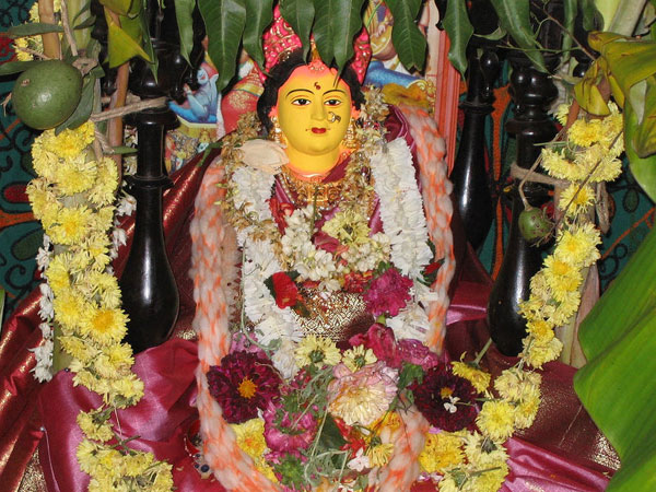 ৮) মঙ্গলগৌরী পূজা