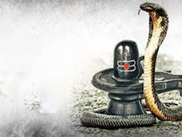 নাগপঞ্চমীর পূজা বিধি