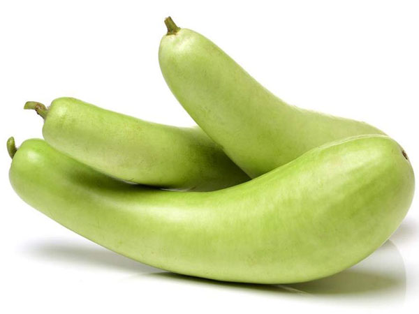 লাউ এবং গোলাপ জল