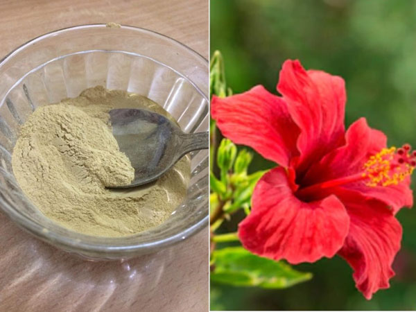 মুলতানি মাটি এবং জবা ফুলের ফেস প্যাক