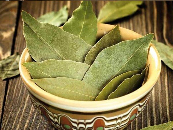 তেজপাতা
