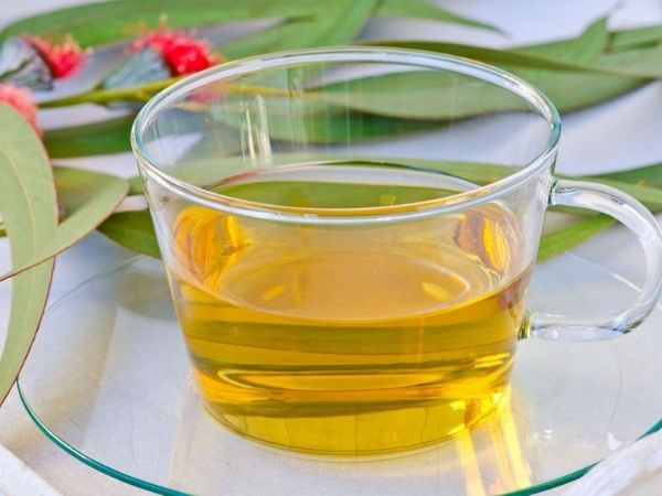 ৩) ইউক্যালিপটাস চা