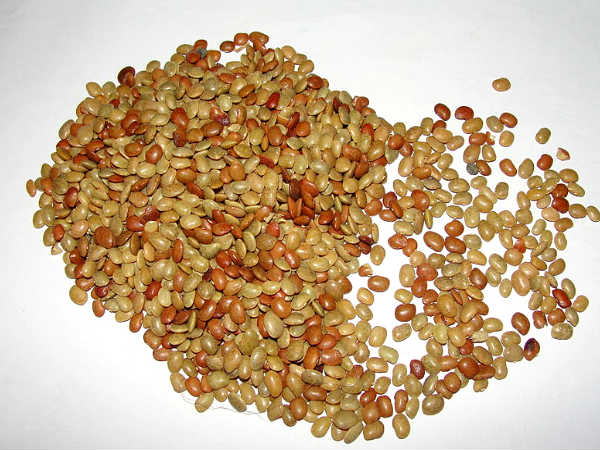 কুলথি ডাল