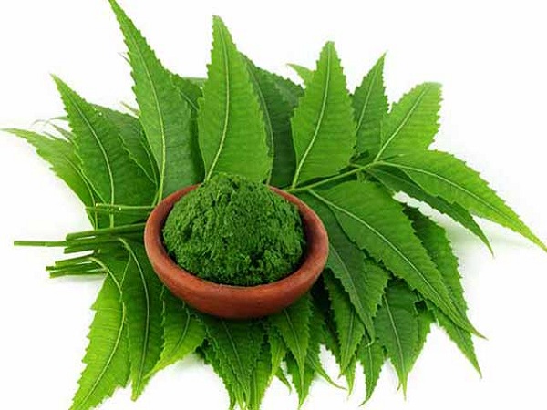 নিম পাতা