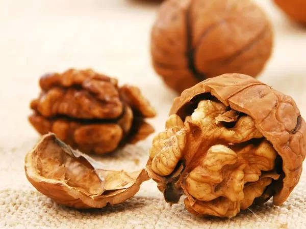 ৬) আখরোট