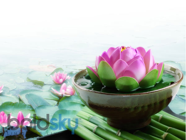 ঘ) পদ্ম