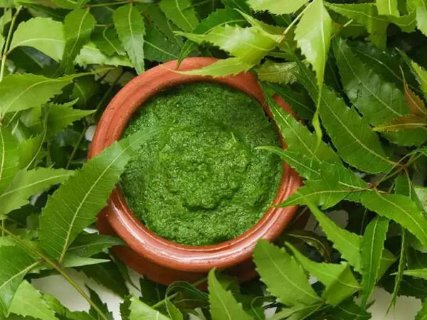 ব্রণ দূর করতে তুলসী ও নিমের ফেস প্যাক