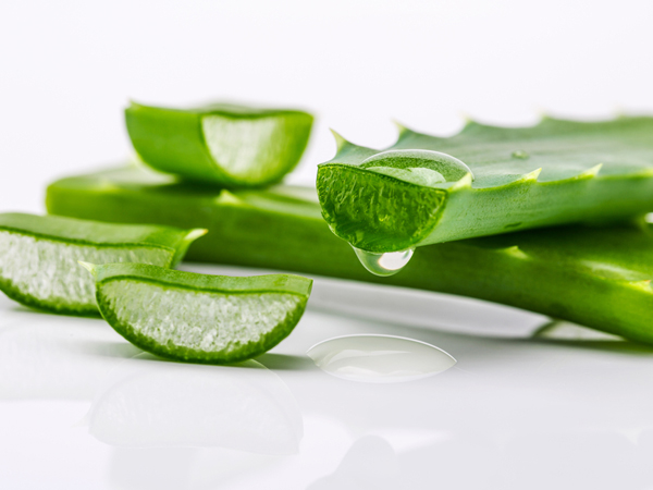 C) Aloe vera and castor oil