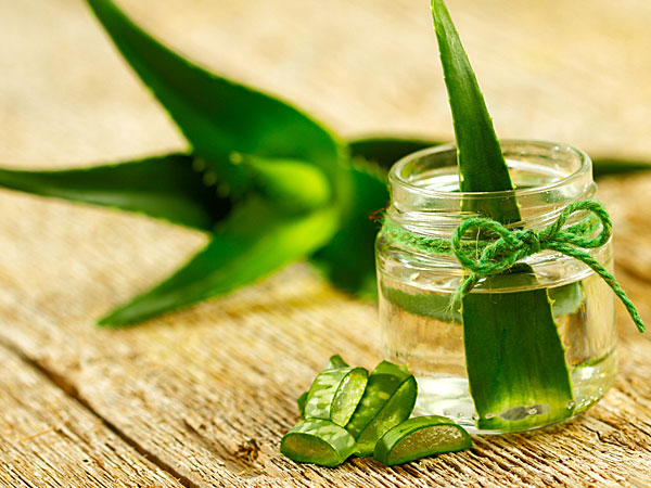 ৫) অ্যালোভেরা ও ল্যাভেন্ডার অয়েল